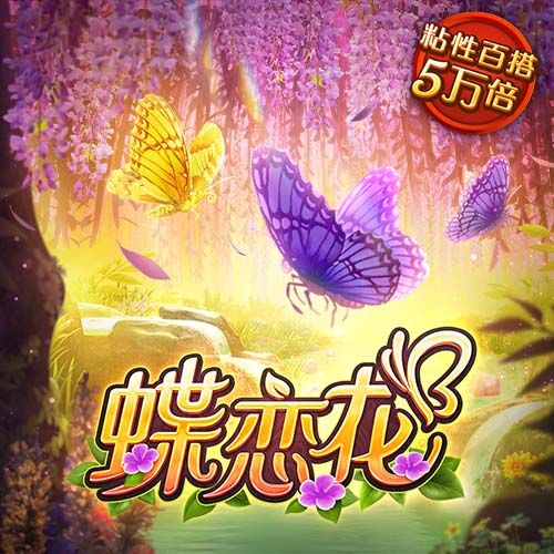 aa视频安卓最新版