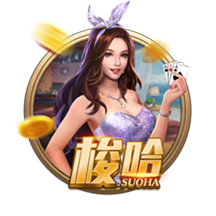 aa视频最新版